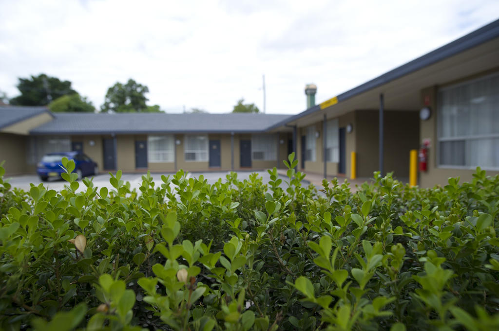 Noah'S Mid City Motor Inn Muswellbrook Kültér fotó